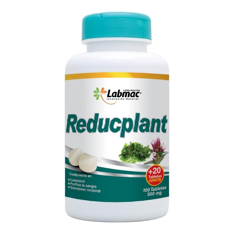 REDUCPLANT 500 MG TAB X 120 LABMAC